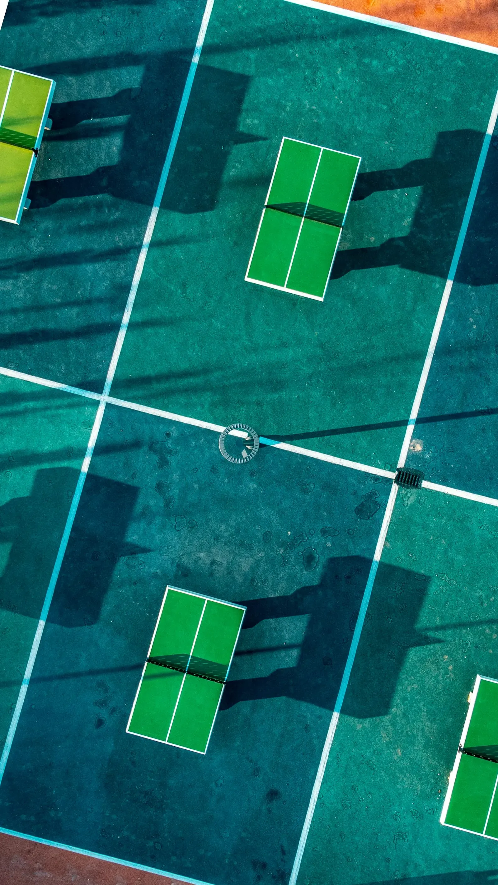 How to Start a Recreational Sports League: A Complete Guide